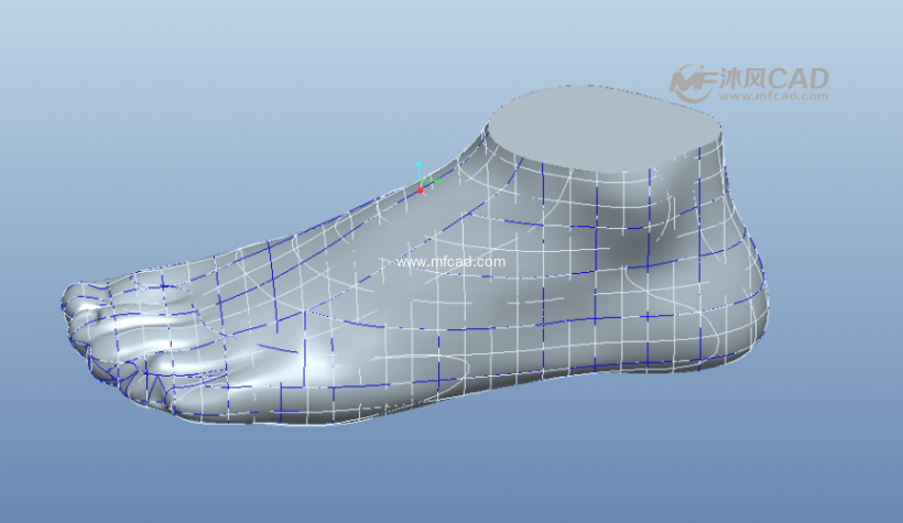 人脚的三维模型 - ProE中性文件类模型下载