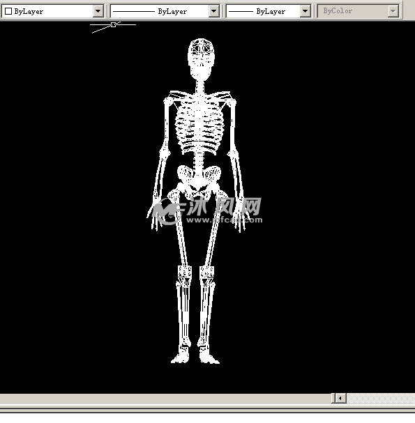 autocad人体骨骼架(三维立体)模型图纸