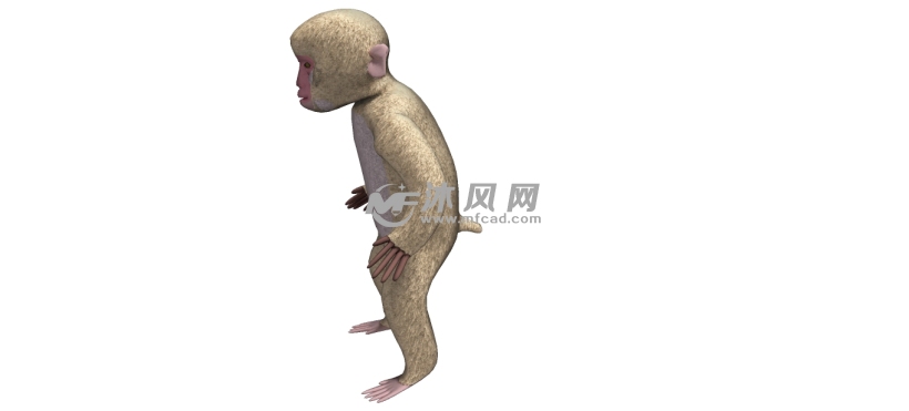 3D短尾猴子的SU模型 - sketchup工业游戏模型