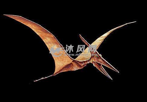 无齿翼龙拼图设计模型 - solidworks玩具公仔类