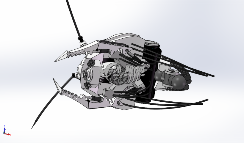 昆虫头部机械结构设计模型