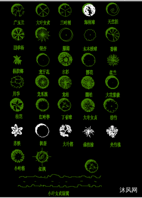 manman20002016-05-3015411365autocad2007立面植物全集图例ifyou2016