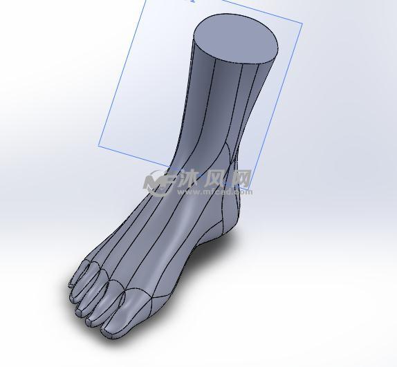 女人的脚模型 - solidworks中性文件类模型下载