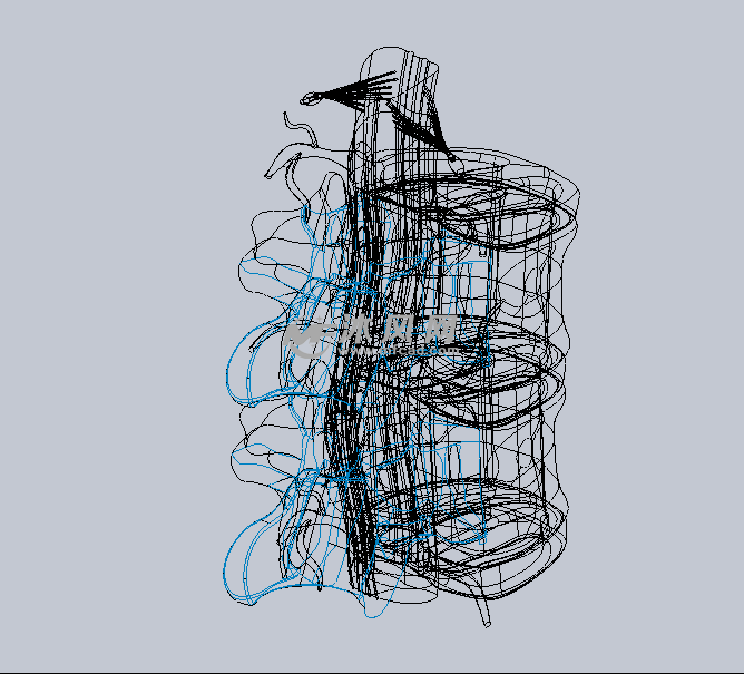 脊椎骨(医疗)设计模型 - solidworks生活用品类