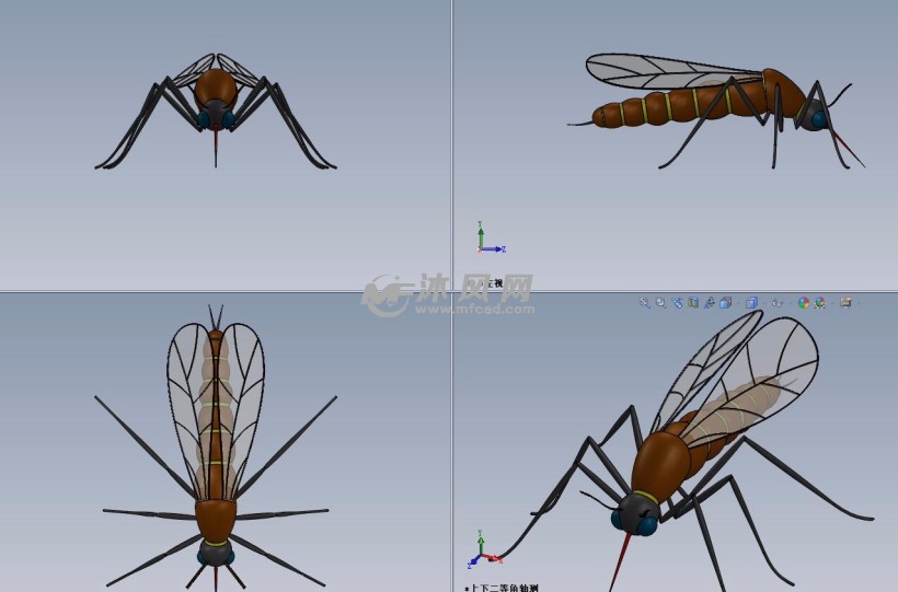 蚊子3d设计