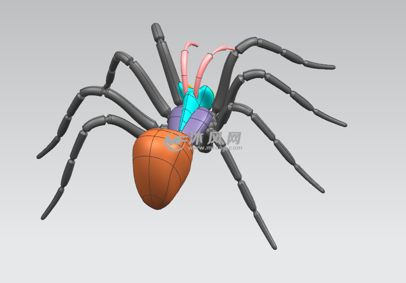 蜘蛛3d模型设计