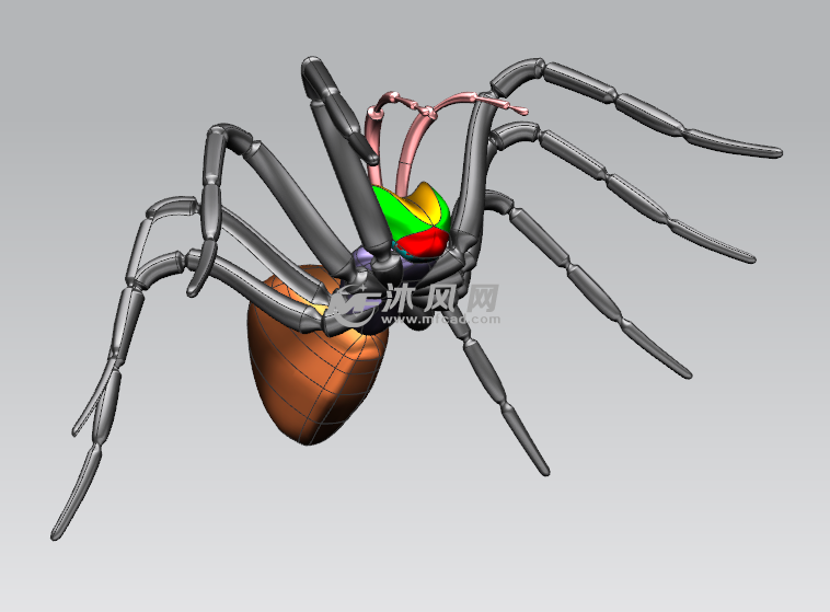 蜘蛛3d模型设计