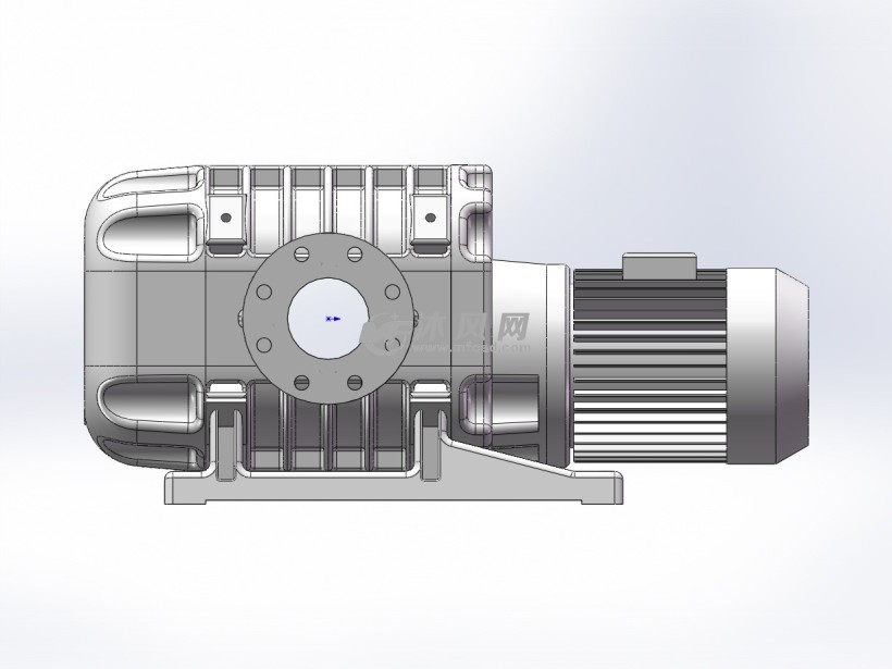 ws1001h水平流型罗茨泵