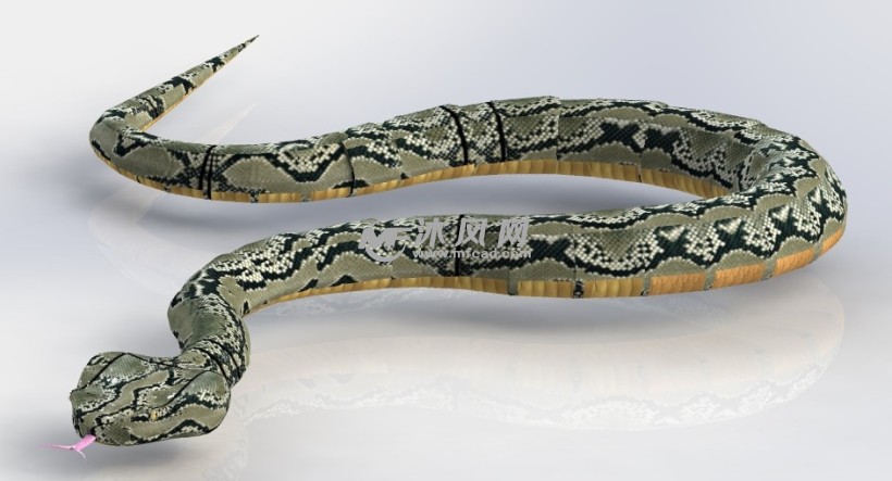 仿真角蝰蛇模型