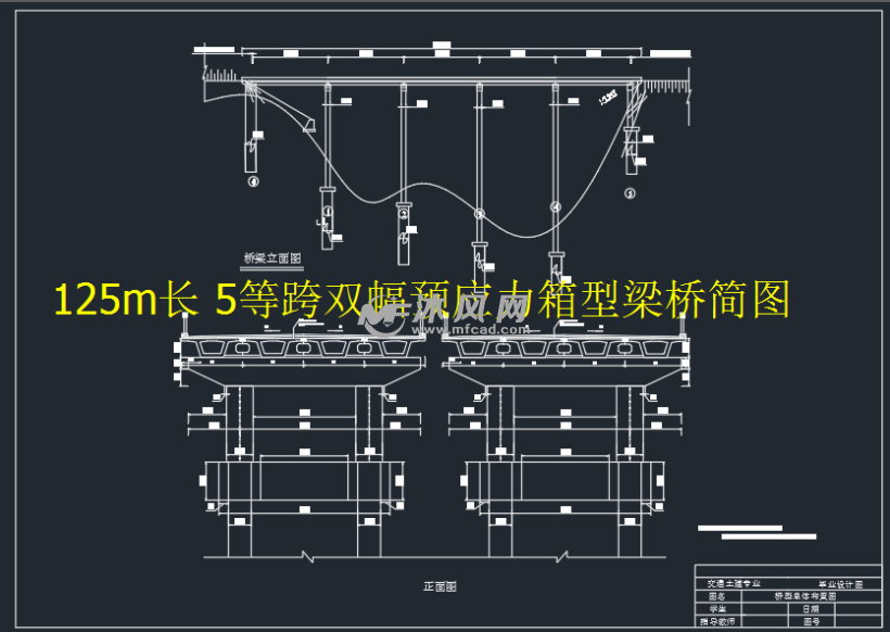 125m长 5等跨双幅预应力箱型梁桥设计