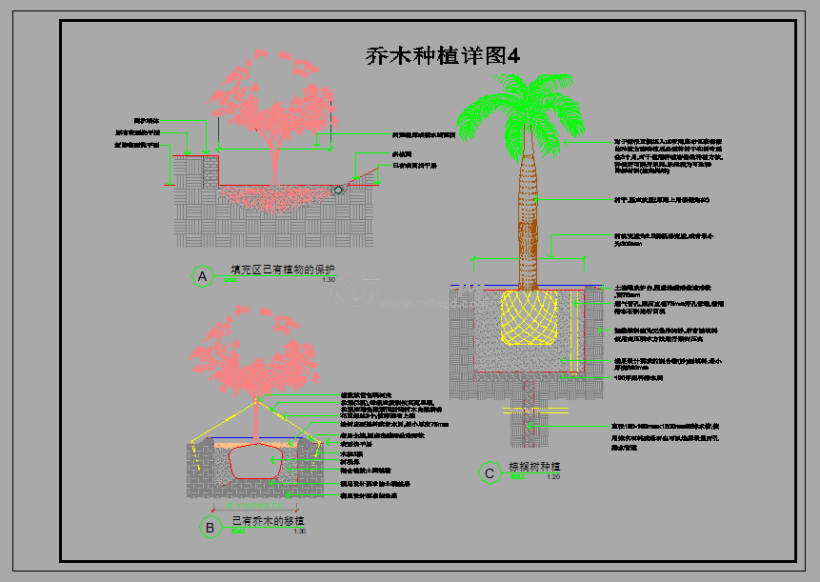 棕榈树等五种不同的乔木灌木种植施工说明图纸