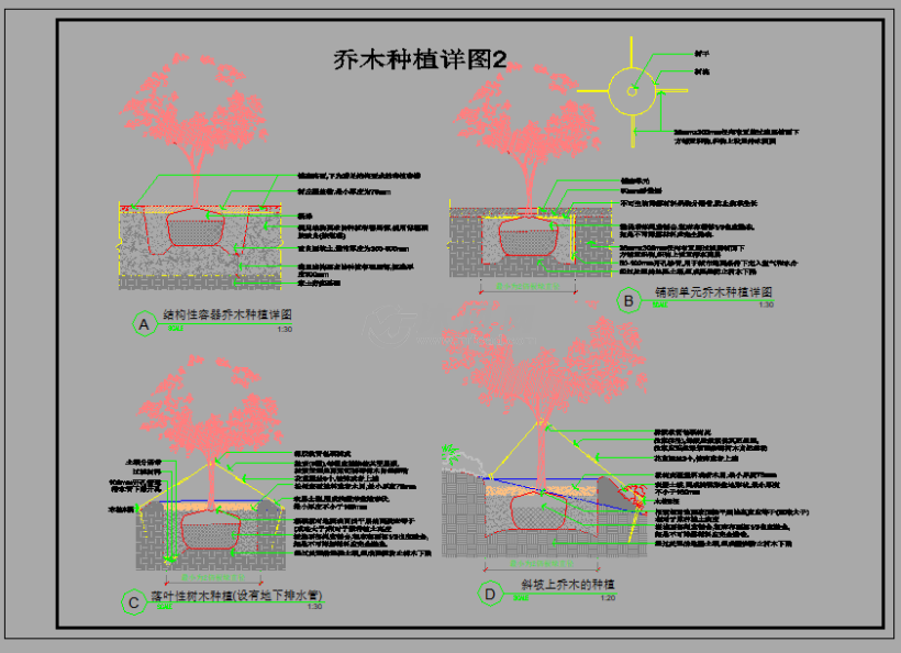 棕榈树等五种不同的乔木灌木种植施工说明图纸