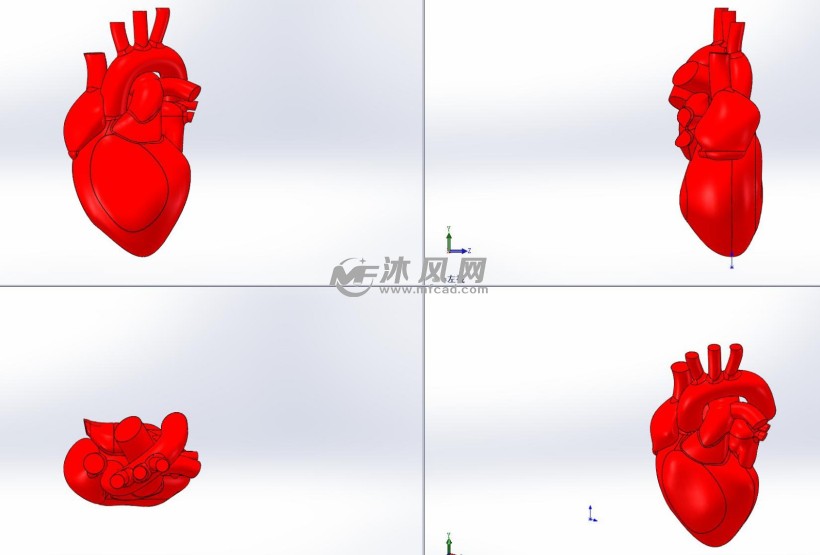 人的心脏模型三视图