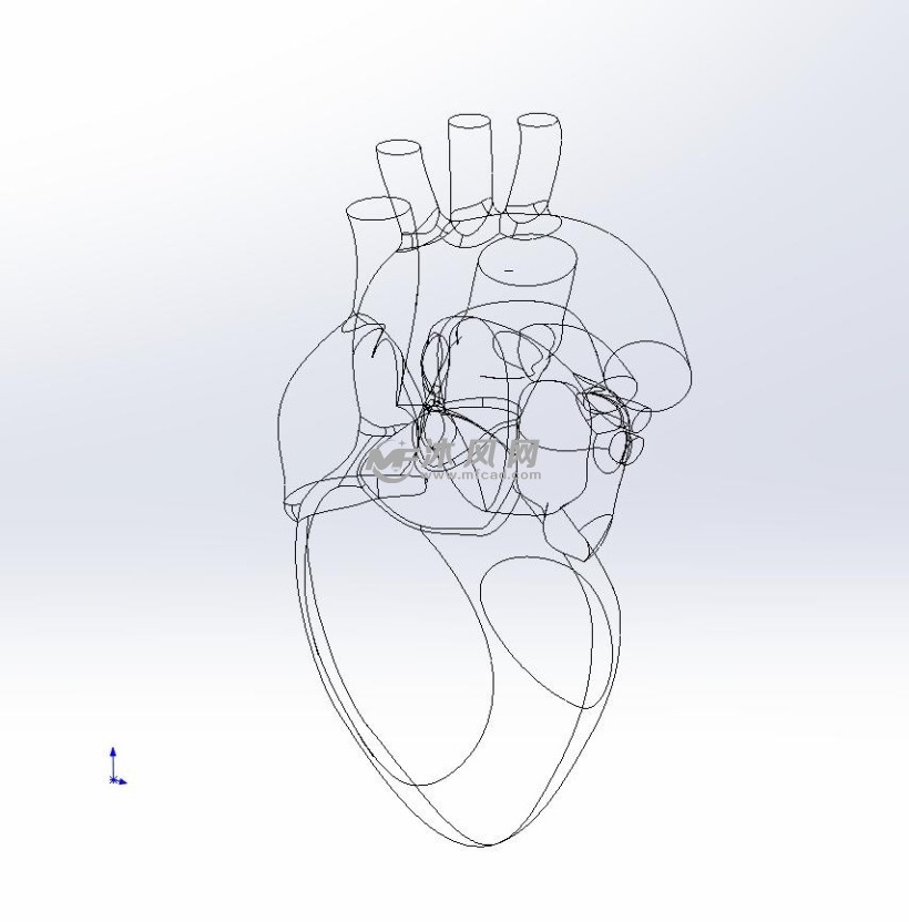 人的心脏模型