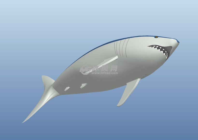 鲨鱼模型图