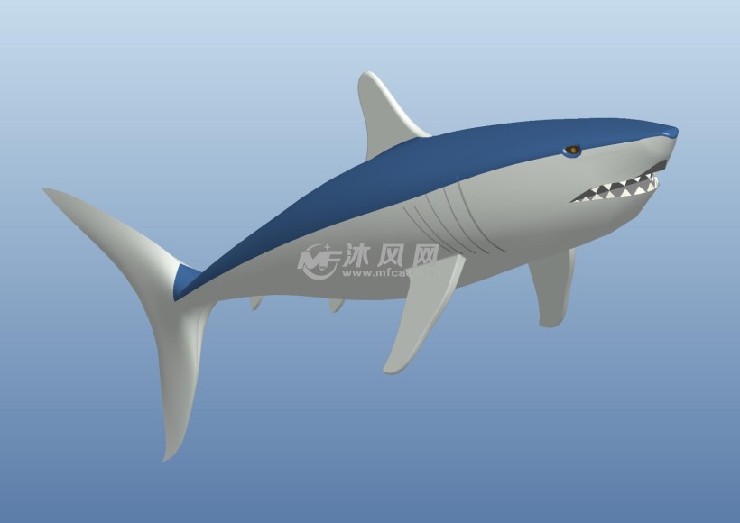鲨鱼模型图