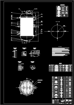 autocad反应压力容器图纸