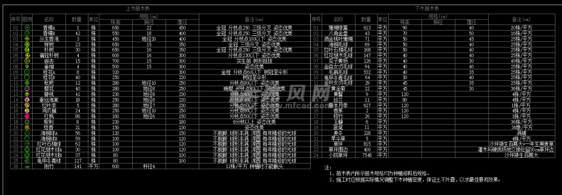 苗木表