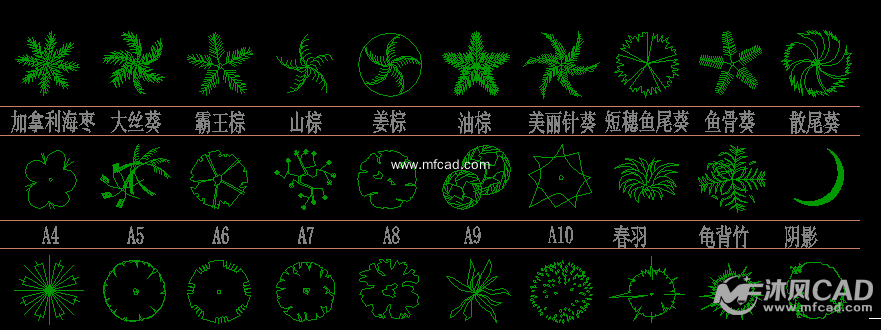 棕榈灌木图例