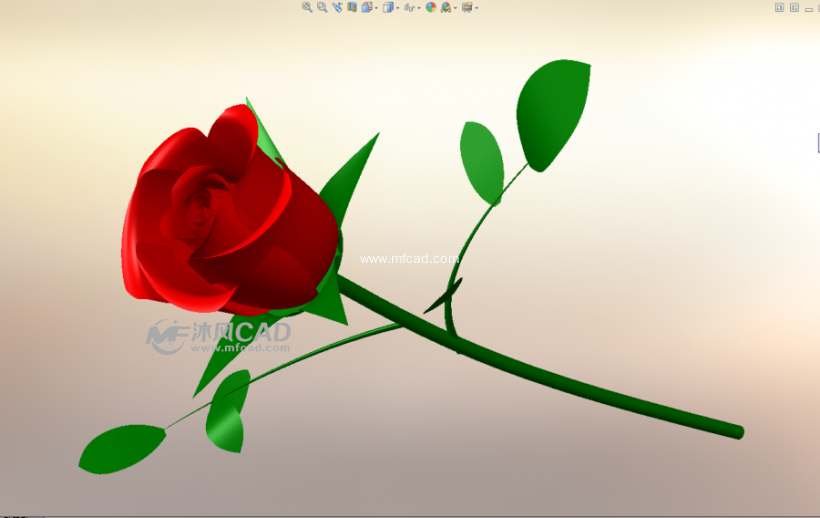 一朵精致漂亮的玫瑰花