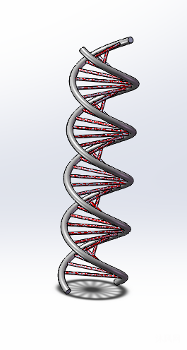 dna结构三维模型(双螺旋上升结构)图纸合集的封面图
