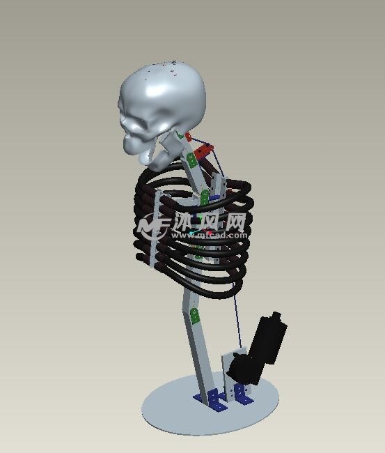 骨骼摆放架设计模型