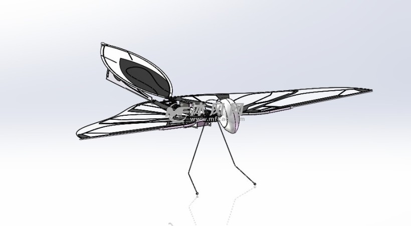 法国metafly仿生鸟1:1测绘 - 人体/动物模型图纸 - 沐风网