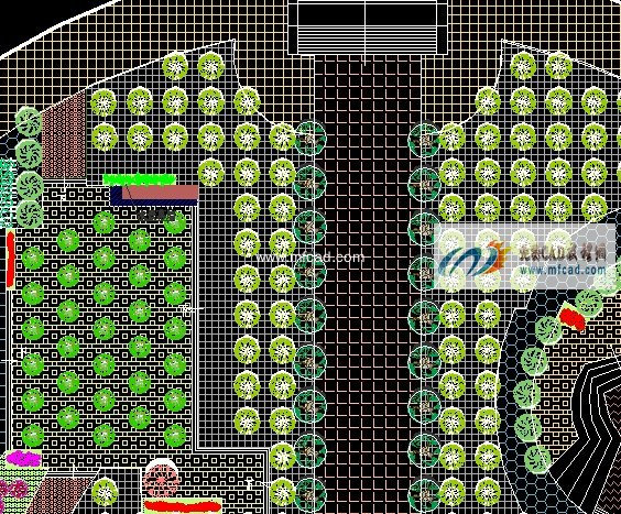 3,树阵式设计2,广场一角1,植物苗木列表本图纸为某中学教学楼前广场的