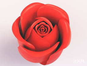 һ����SolidWorksʵ����Ƶ�õ�廨