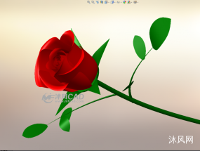 һ�侫��Ư����õ�廨